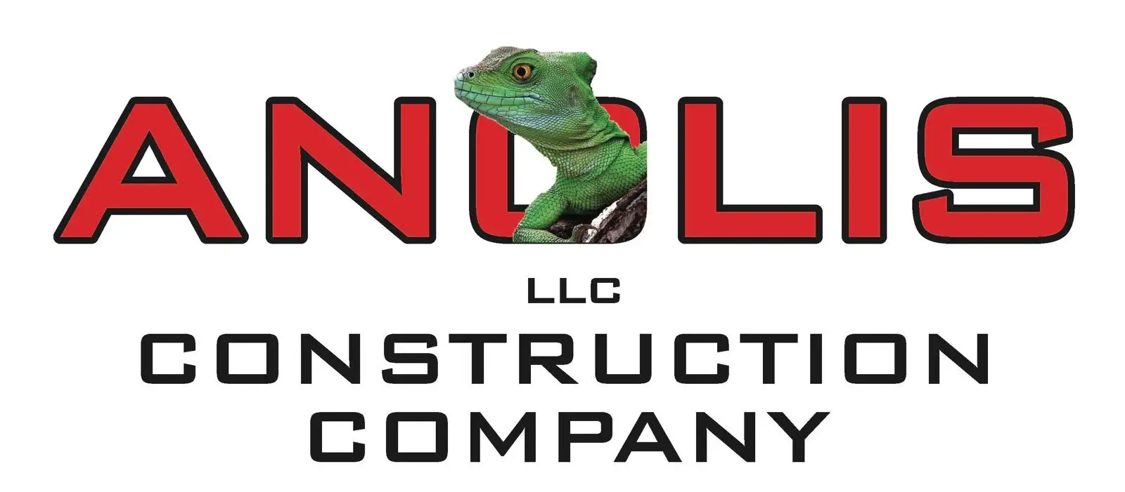 Anolis logo