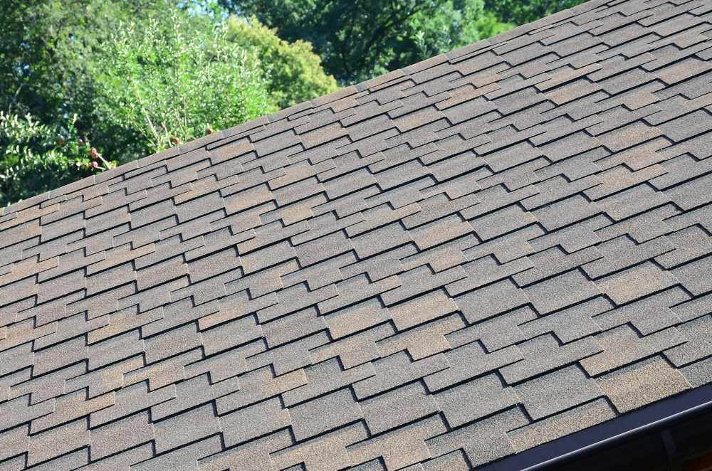 Brown asphalt shingles on residential roof under trees, showcasing Shingle Roofing service
