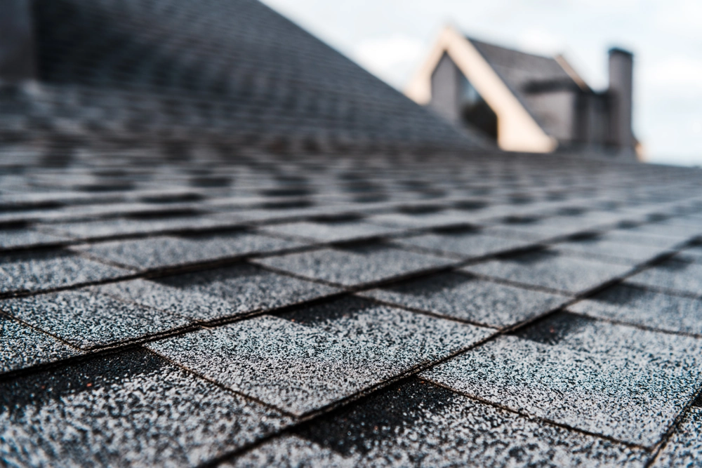 Close-up view of freshly installed dark asphalt shingles on a sloped roof – Shingle Roofing service